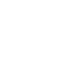 Drako logo